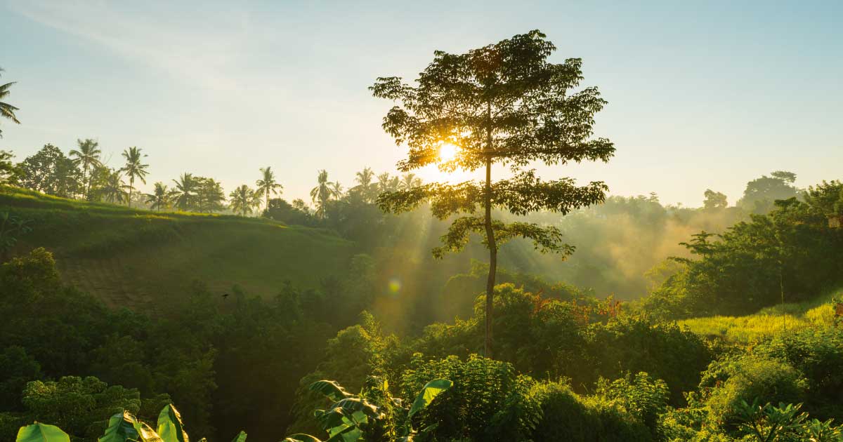 Orden de la naturaleza