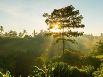 Orden de la naturaleza